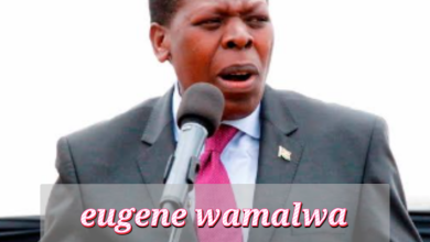 Eugene Wamalwa Biography